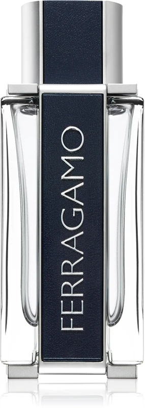 Ferragamo Ferragamo Eau de Toilette for men 100 ml