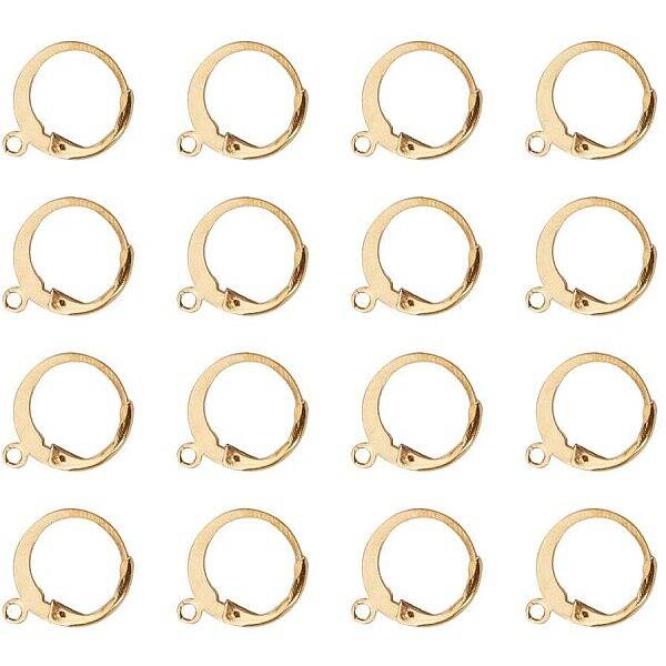 50 pcs 304 Stainless Steel Lever Back Hoop Earring for DIY Jewelry Making
