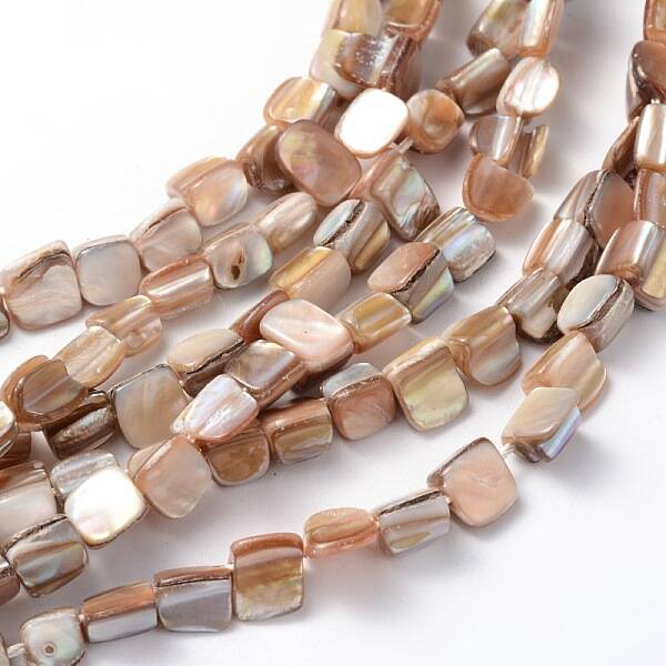 Erose Shell Beads Strands