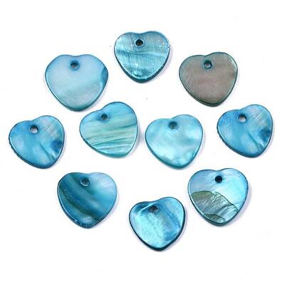 Natural Freshwater Shell Charms