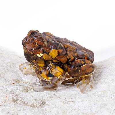 Natural Tiger Eye Display Decorations