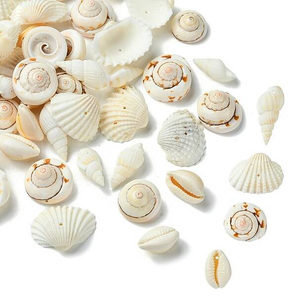 48Pcs 4 Styles Natural Shell Beads