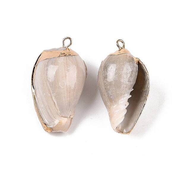 Natural Sea Shell Pendants