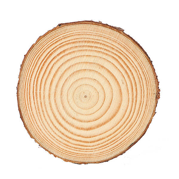 Flat Round Natural Pine Wooden Slices