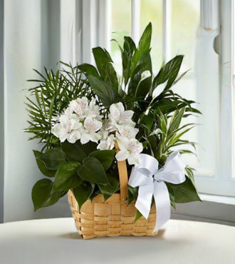 Peace and Serenity Dishgarden