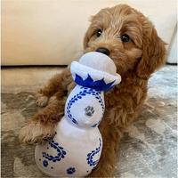 Ins Style Cute Dog Plush Toy, Pet Chew Interactive Toy, Hidden Food Toy, Dog & Cat Accessories, Pet Supplies