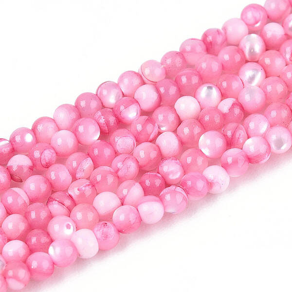 Dyed Natural Trochid Shell/Trochus Shell Beads Strands