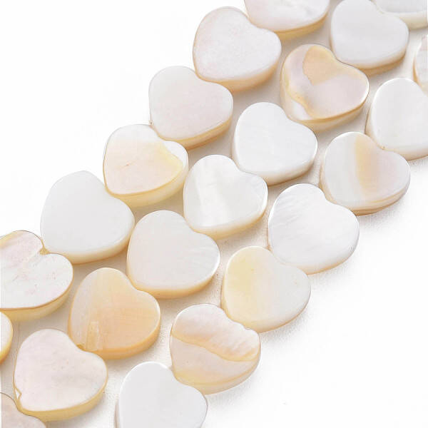 Natural Freshwater Shell Beads Strands