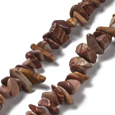 Natural Petrified Wood Beads Strands