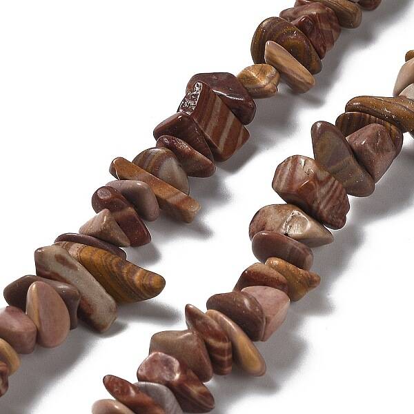 Natural Petrified Wood Beads Strands