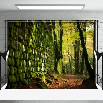 Moss Stone Wall Soil Forest Photography Backdrop - Aperturee