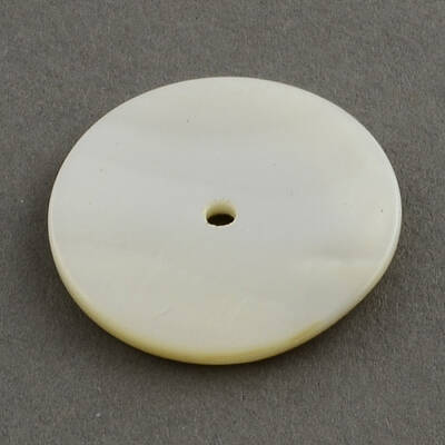 Natural Sea Shell Beads