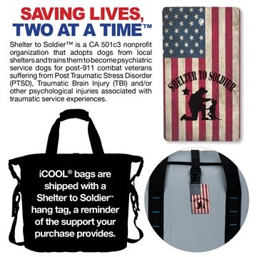 5 Custom iCOOL Lake Havasu Rolling Cooler Bag - 30-Can & ...