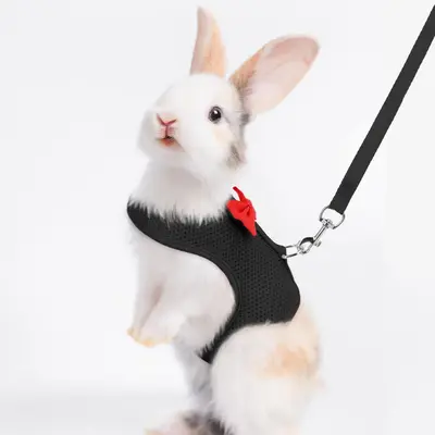 Rabbit Leash and Harness with Bow Decor, Small Pet Chest Vest and Leash, Animal Supplies for Rabbits