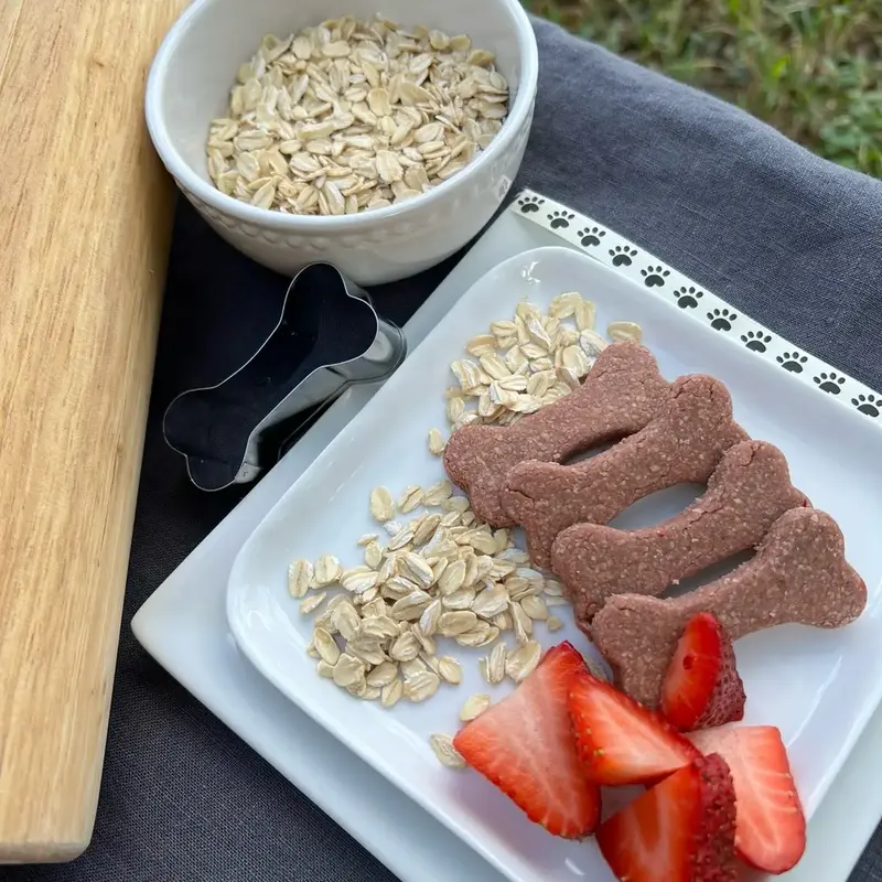 Strawberry Fields Forever Organic Homemade Dog Treats