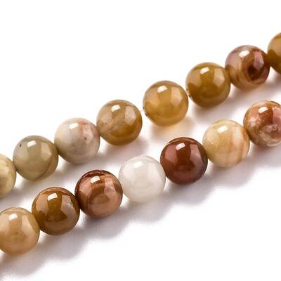 Natural Petrified Wood Beads Strands