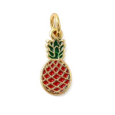 Brass Enamel Charms