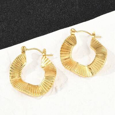 304 Stainless Steel Hoop Earrings for Women