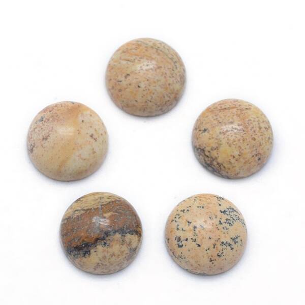 Natural Picture Jasper Cabochons