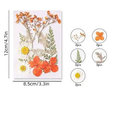 Dried Flower Sets