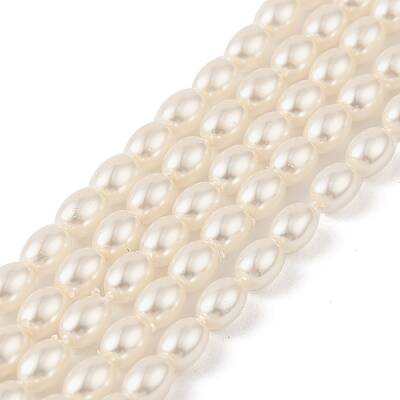 Electroplated Shell Pearl Beads Strands
