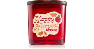 DW Home Goodies Happy Harvest scented candle 374 g