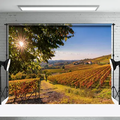 Aperturee Outdoor Vineyard Autumn Natural Scenery Backdrop | Backdrop Photography Ideas | Photoshoot Background | Wall Backgr...