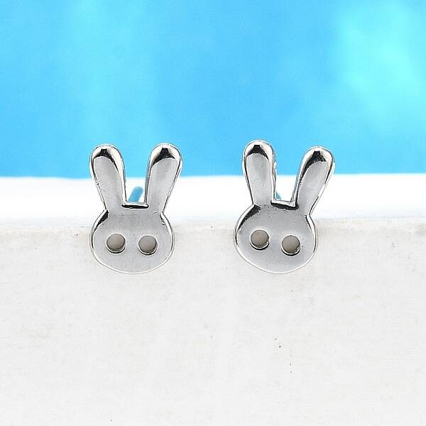 S925 Sterling Silver Stud Earrings