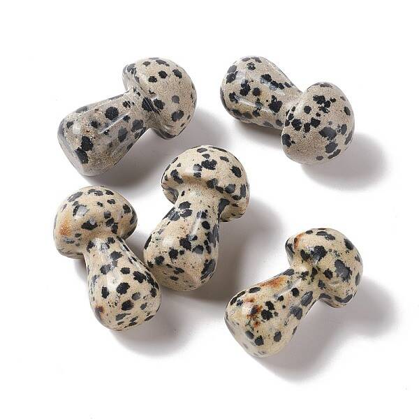 Natural Dalmatian Jasper GuaSha Stone