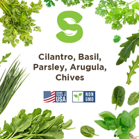 Heirloom Herb Seed Starter Set 5 Varieties of Herb Seeds CIlantro, Basil, Parsley, Arugula, Chives