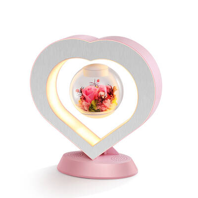 Heart Lamp Magnetic Levitation Light Bluetooth Stereo Nightlight Gift Idea