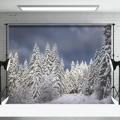 Dark Sky Pine Trees Snow Photography Backdrop - Aperturee