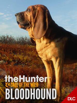 theHunter: Call of the Wild - Bloodhound DLC | Steam Altergift