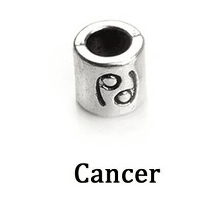Antique Silver Plated Alloy European Beads