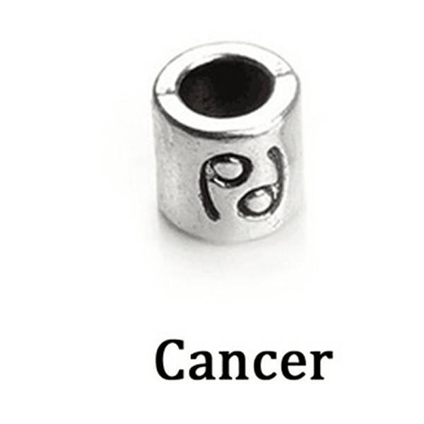 Antique Silver Plated Alloy European Beads