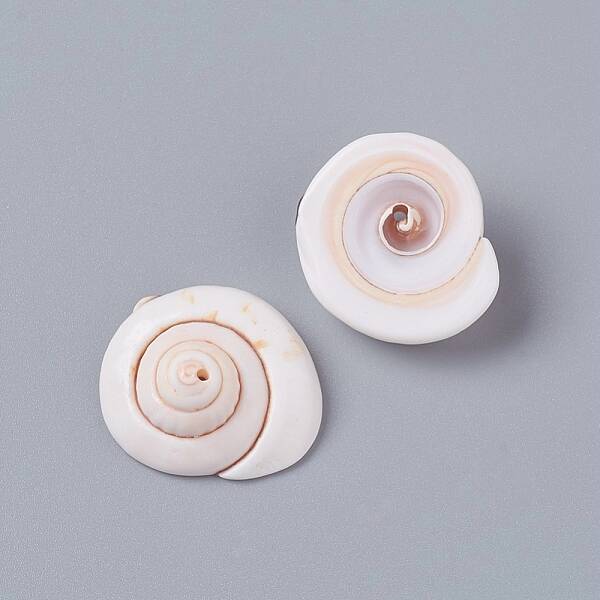 Natural Shiva Eye Shell Beads