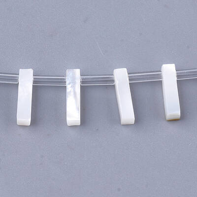 Natural Sea Shell Beads