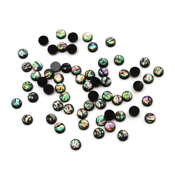 Paua Shell Cabochons