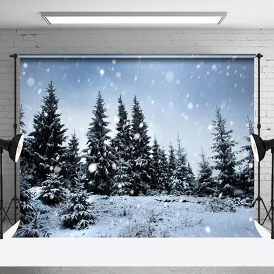 Winter Wonderland Sky And Pines Backdrop Phoot Shoot - Aperturee