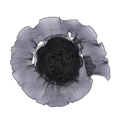 Polyester Pleated Lace Trim Ribbon