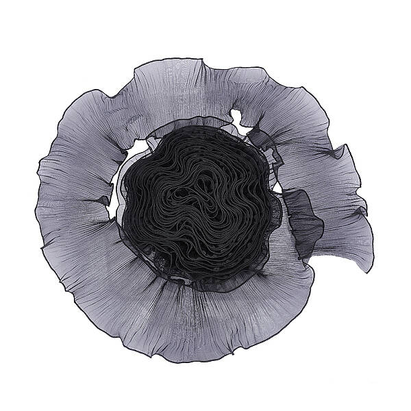 Polyester Pleated Lace Trim Ribbon