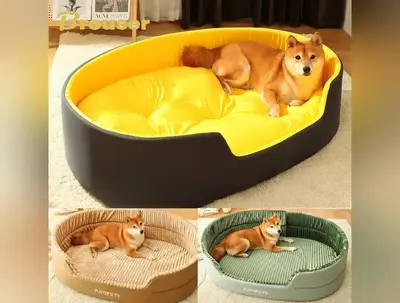 Dog Big Bed