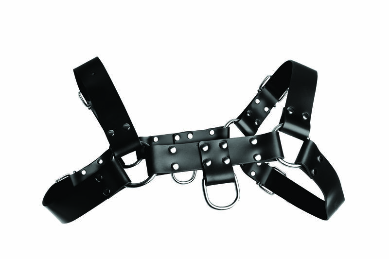 English Bull Dog Harness