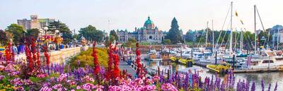 Victoria City Highlights: from the Harbour to Chinatown