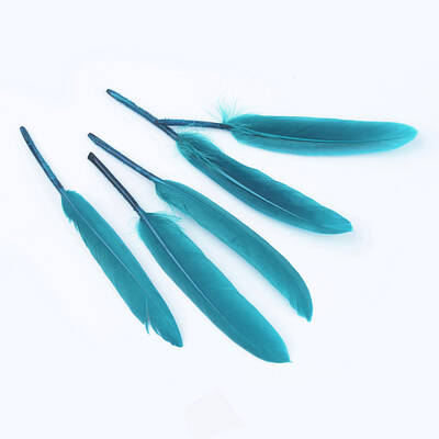 Goose Feather Costume Accessories