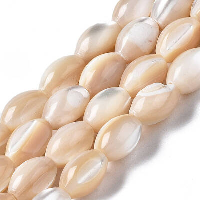 Natural Trochid Shell/Trochus Shell Beads Strands