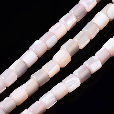 Natural Trochid Shell/Trochus Shell Bead Strands
