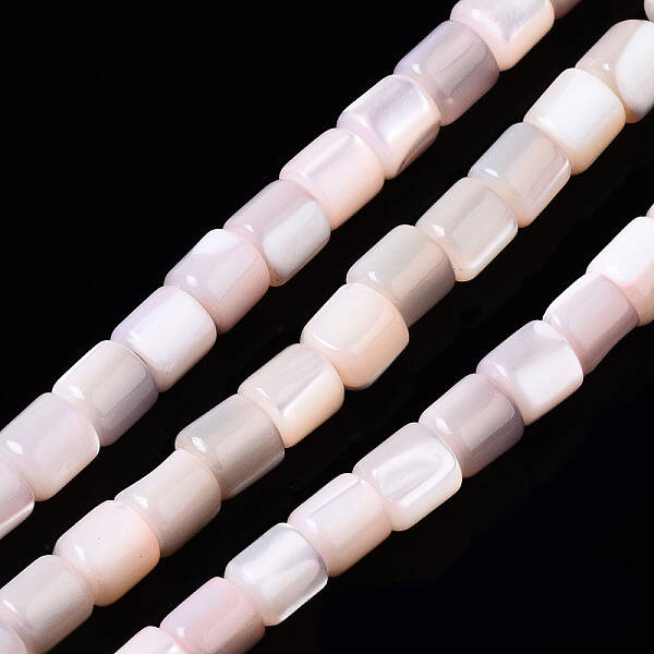 Natural Trochid Shell/Trochus Shell Bead Strands