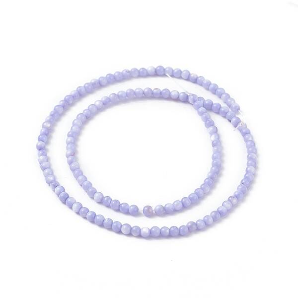 125Pcs Natural Freshwater Shell Beads