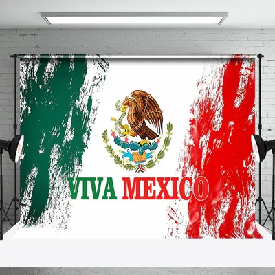 Graffiti Flag Viva Mexico Independencia Backdrop